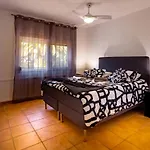 Palmeiras Villa Charneca (Setubal)