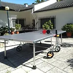 Palmeiras Villa