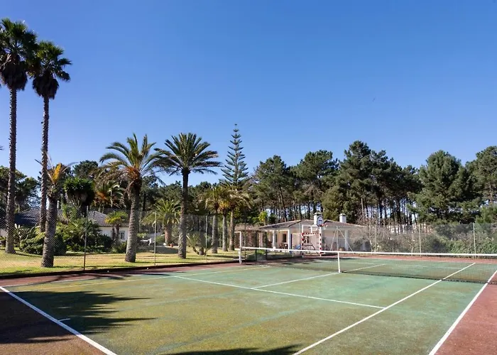 Palmeiras Charneca (Setubal)