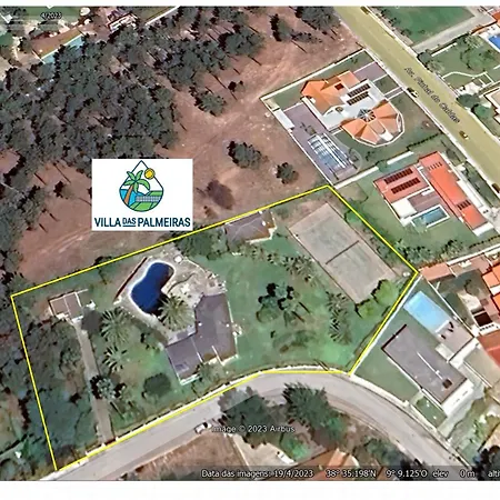 Palmeiras