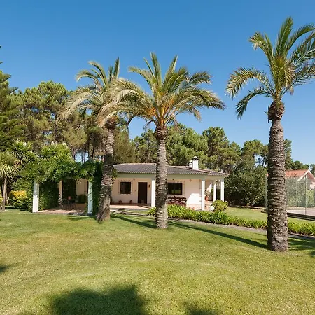 Das Palmeiras Charneca (Setubal)