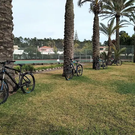 Das Palmeiras Charneca (Setubal)