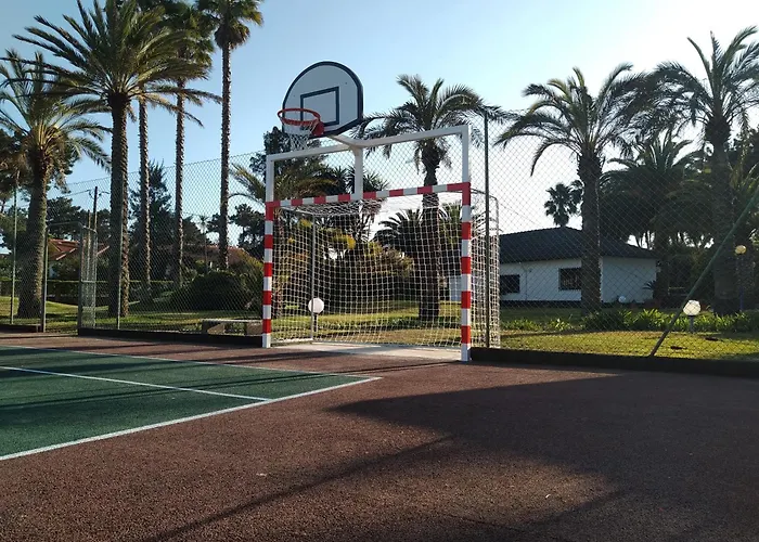 Palmeiras Charneca (Setubal)