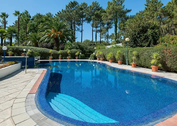 Palmeiras * Charneca (Setubal)