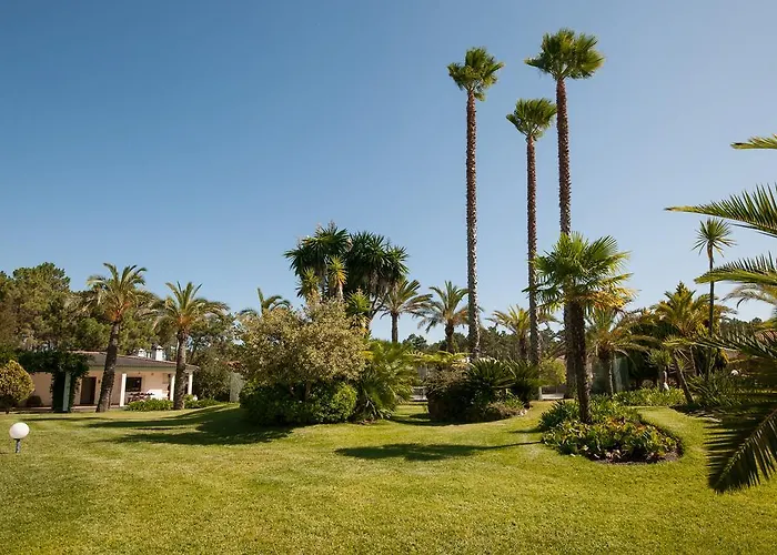 Palmeiras Villa Charneca (Setubal)