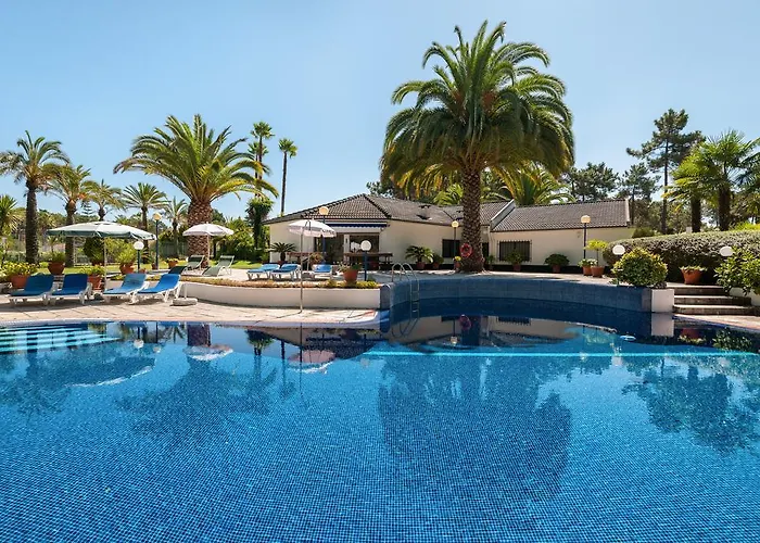 Palmeiras Charneca (Setubal)