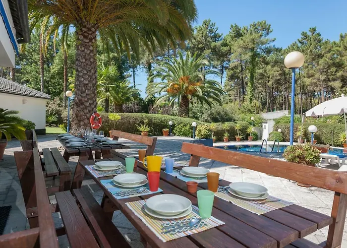 Palmeiras * Charneca (Setubal)